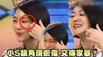 成源家暴爆料视频最新,真相与反思