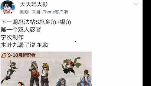 下一个忍法帖最新爆料,最新爆料揭示神秘忍术与传奇忍者