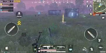 和平精英最新爆料哪里看,揭秘新版本亮点与改动