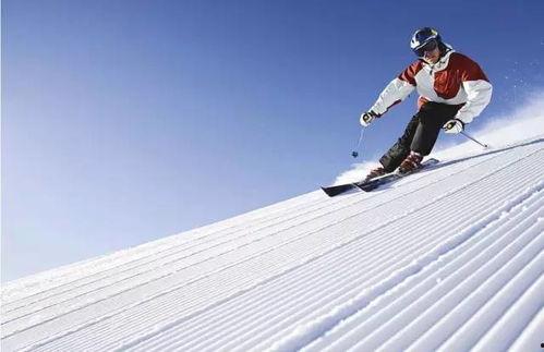 滑雪吃瓜最新事件爆料,揭秘背后惊人真相